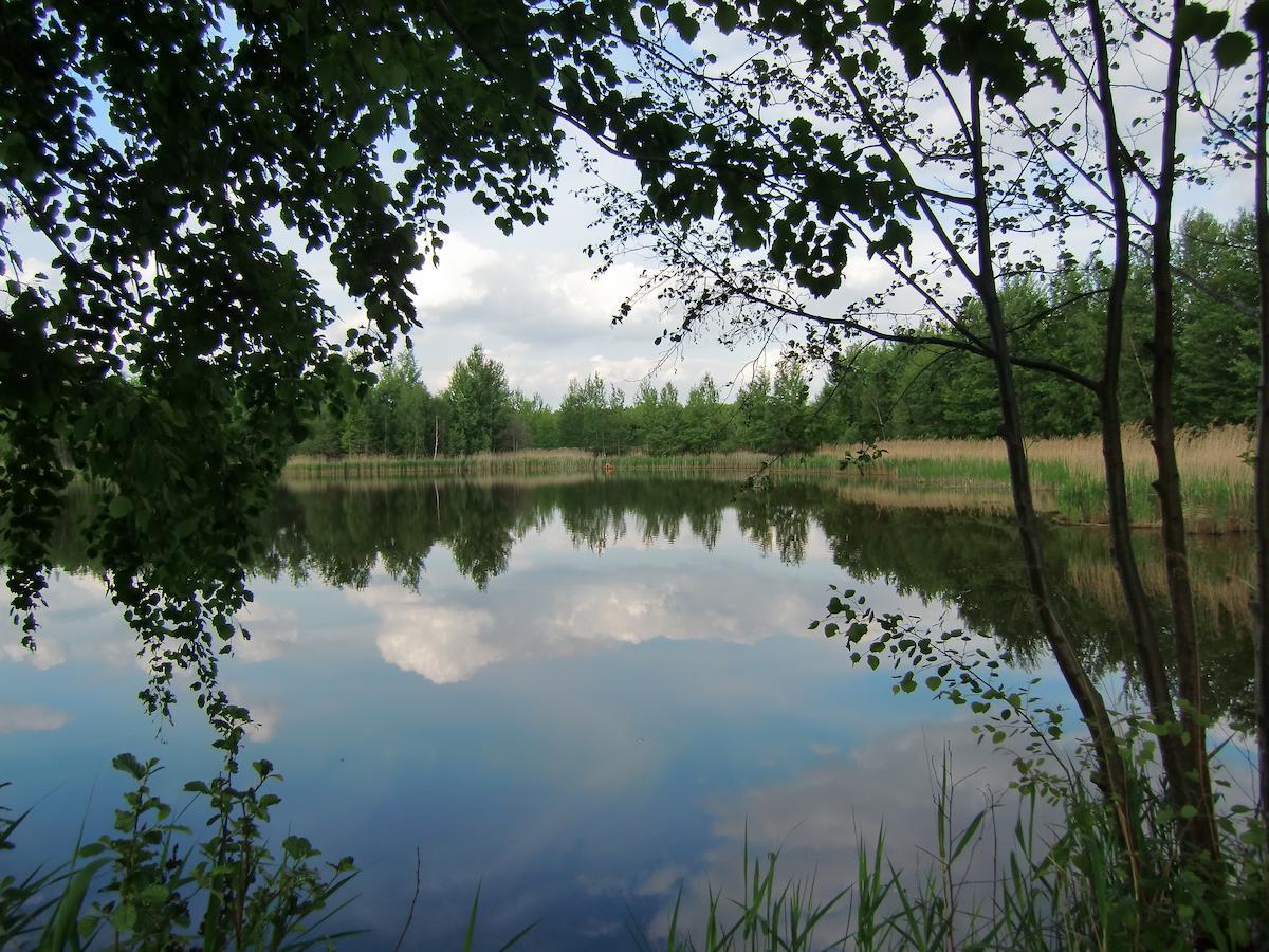 Hotel Heidehof Konigswartha Exteriör bild
